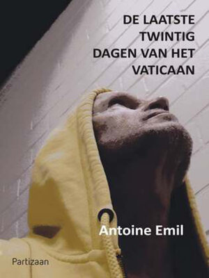 cover image of De laatste twintig dagen van het Vaticaan